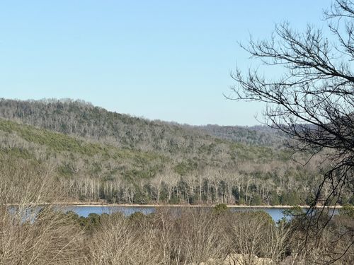 14 Cordell Hull Ln, Elmwood, TN, 38560-4046 | Card Image