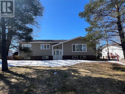 15 Church Road, Badger, NL, A0H1A0 | Card Image