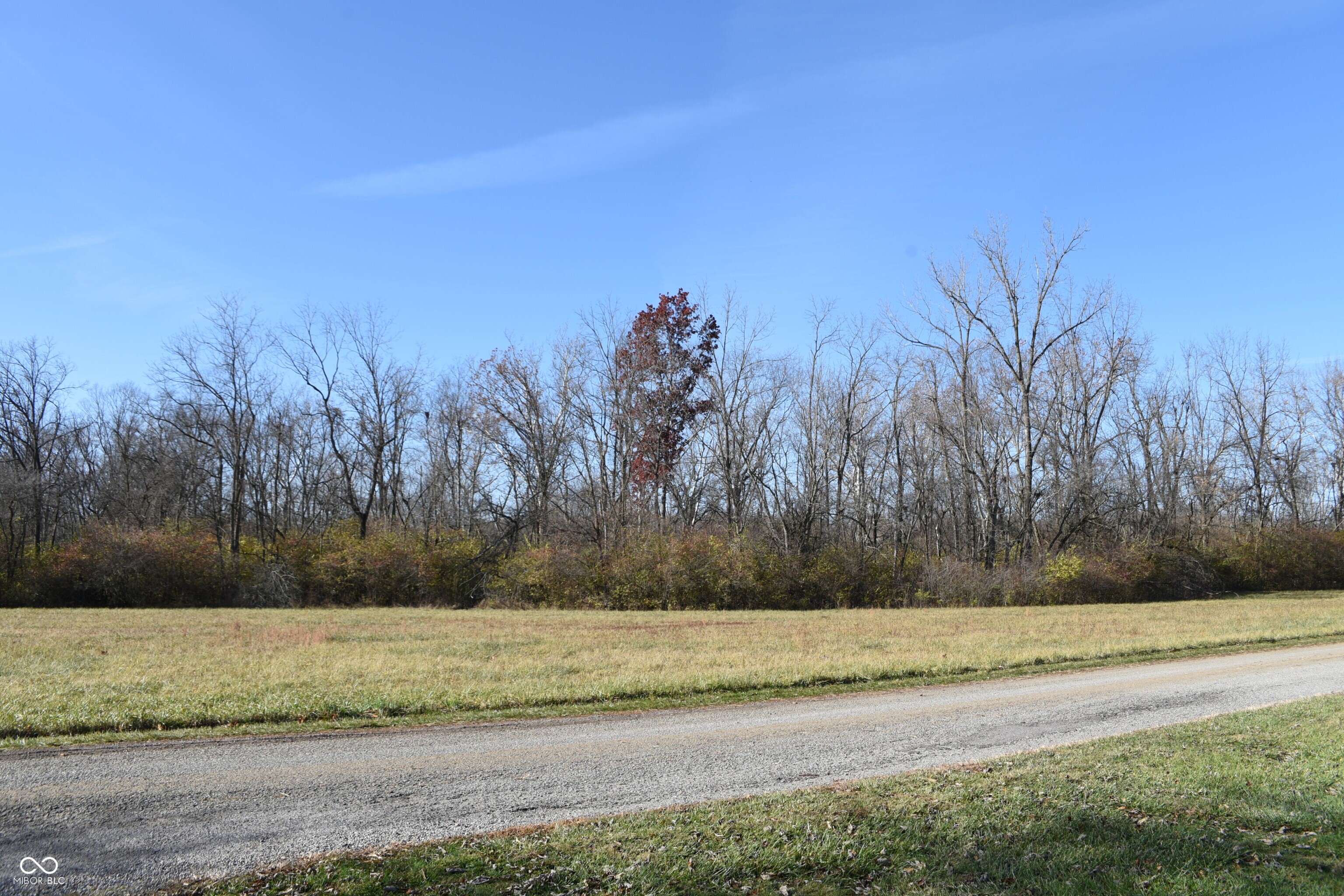 Land in Albany 4