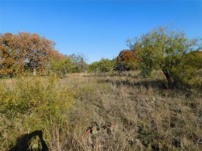 lot 238 Feather Bay Drive, Home with 0 bedrooms, 0 bathrooms and null parking in Brownwood TX | Image 2