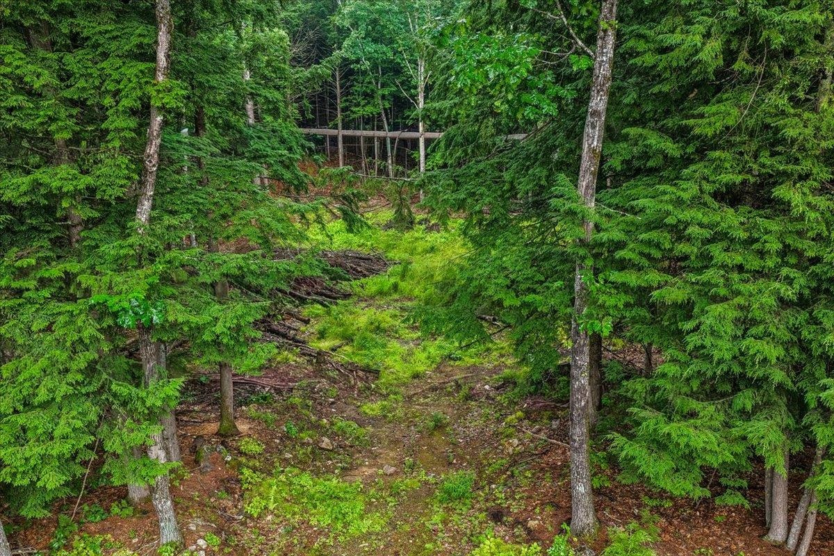 Land in Webster 3
