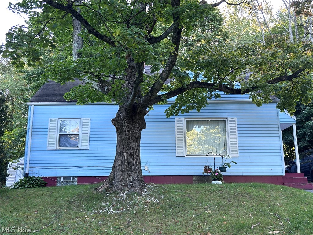 Orlando Ave, Akron, OH 44320
