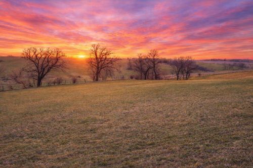 1774 Peppy Place Road, Decorah, IA, 52101 | Card Image