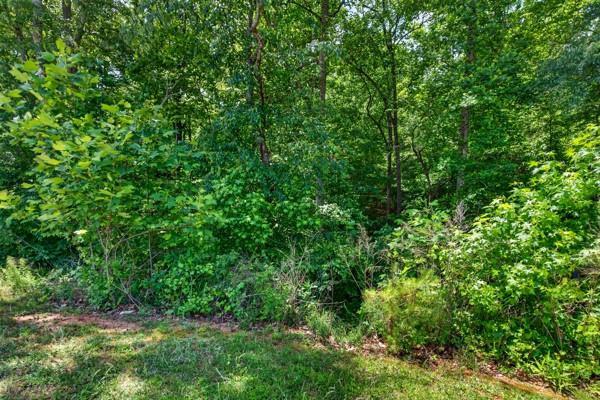 Land in Auburn 5