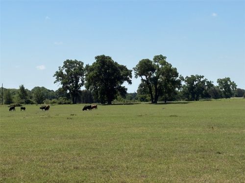 2966 Highway 679, Gorman, TX, 76454-4301 | Card Image