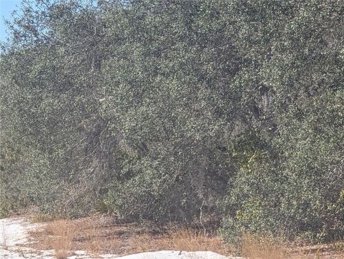 6 Hibiscus Dr, Indian Lake Estates, FL, 33855 | Card Image