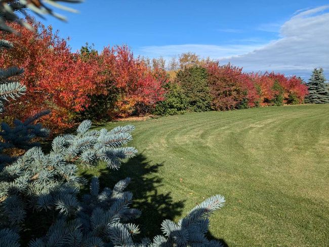 40-33049 Range Road 12, House other with 3 bedrooms, 3 bathrooms and 5 parking in Mountain View County AB | Image 50