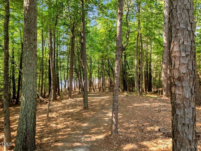 14-DJI_20250612100258_0076_D | Image 24