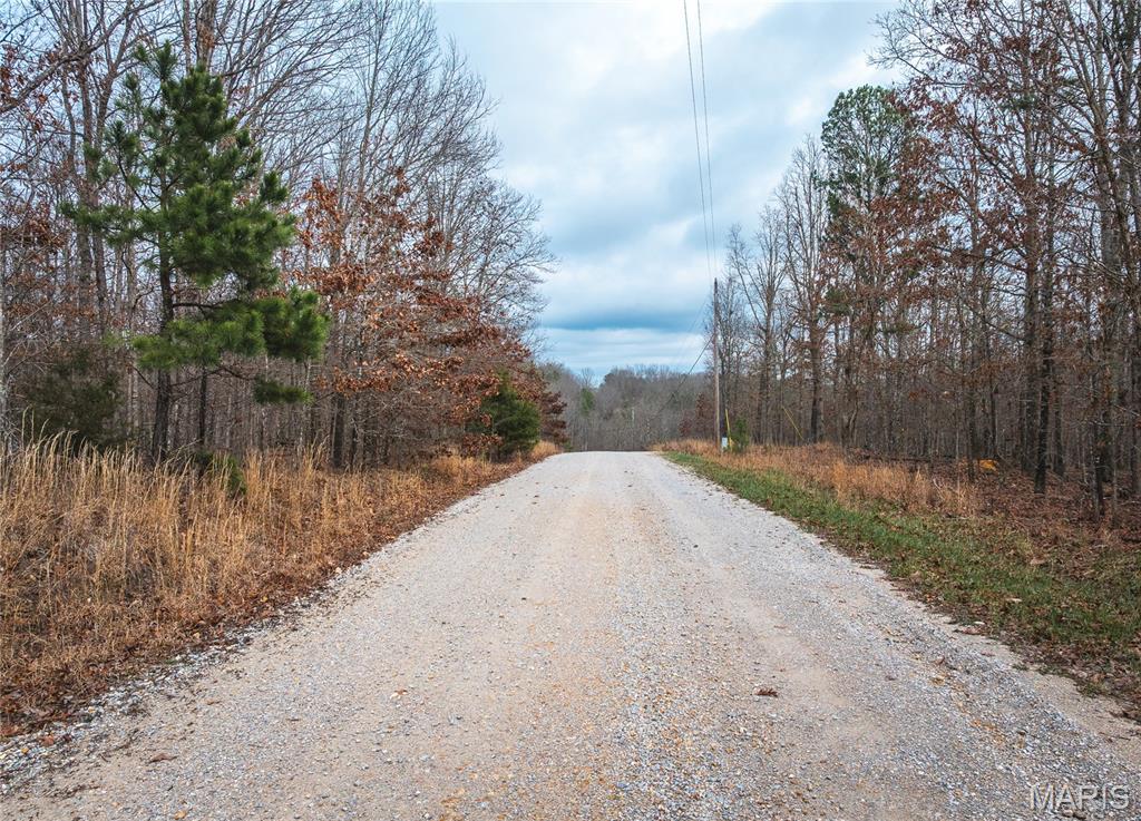 Land in Raymondville 4