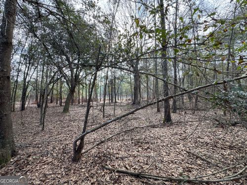 0 Whispering Pines Rd, Pelham, GA, 31779 | Card Image