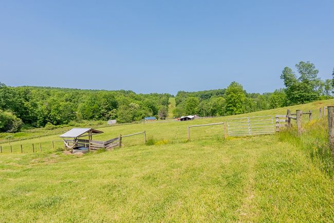 688 Gibson Knob Rd, Home with 0 bedrooms, 0 bathrooms and null parking in Laurel Fork VA | Image 93