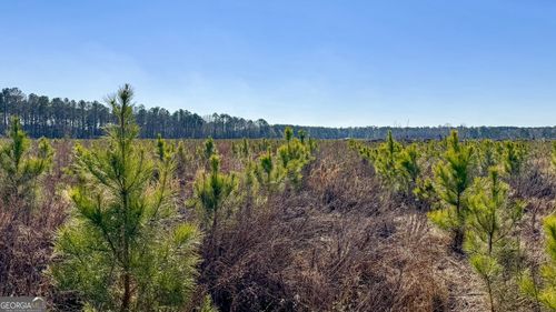 14-0 Us Highway 301, Statesboro, GA, 30461 | Card Image