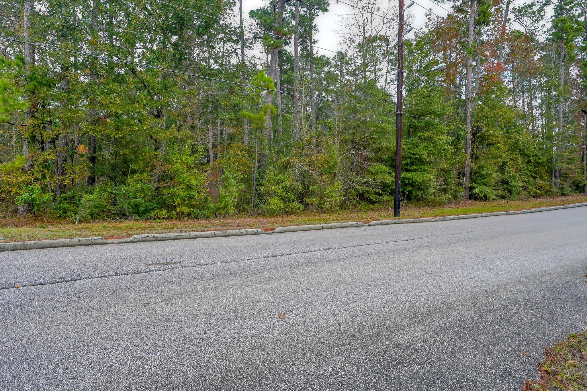 Land in Conroe 2