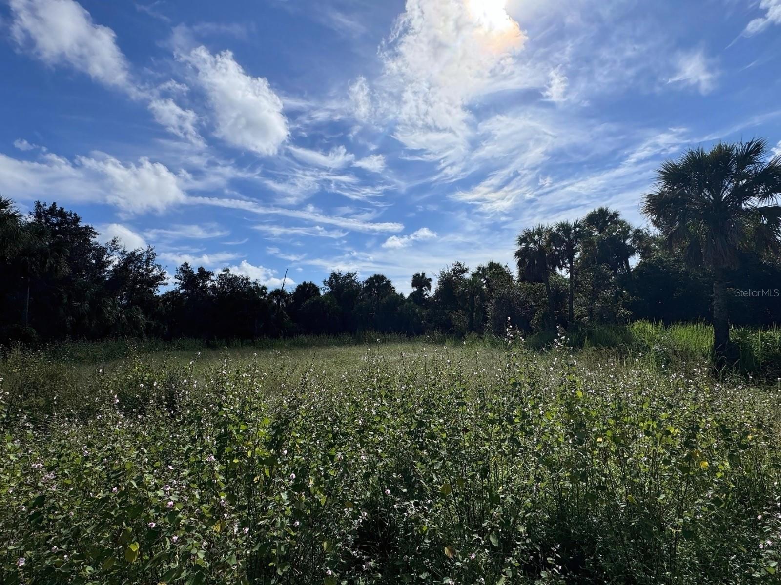 330 Overbrook St Sold in PORT - I28hB2EUHY6ytIuK2ApLXKtwgKCIEO7LUbItusJP