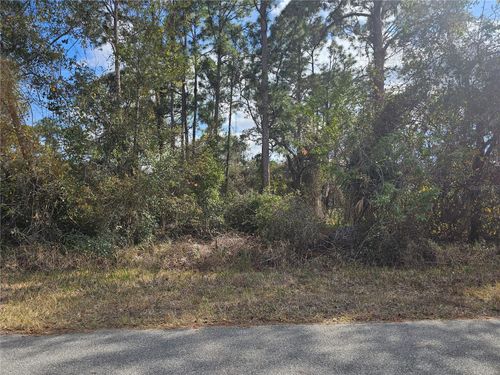 241 Phantasy Ave, LAKE PLACID, FL, 33852-9357 | Card Image