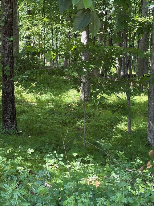 1501 Us Route 209, Cuddebackville, NY, 12729 | Card Image