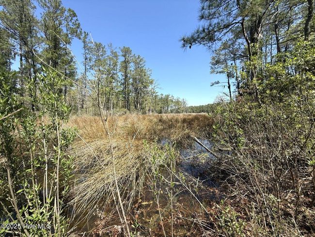 18 Davis Ln, Home with 0 bedrooms, 0 bathrooms and null parking in Belhaven NC | Image 19