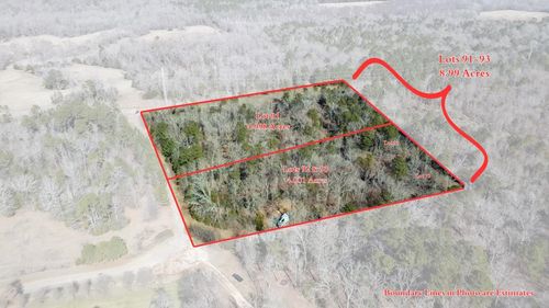 Lots 92-93 Francis Ln, Diana, TX, 75640 | Card Image