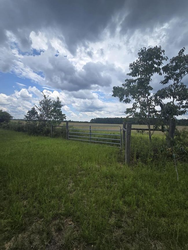 3599 Mauk Rd, House other with 3 bedrooms, 3 bathrooms and 2 parking in Mauk GA | Image 32