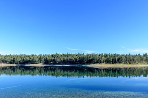 2650 Sophie Lake Rd, Eureka, MT, 59917-9309 | Card Image