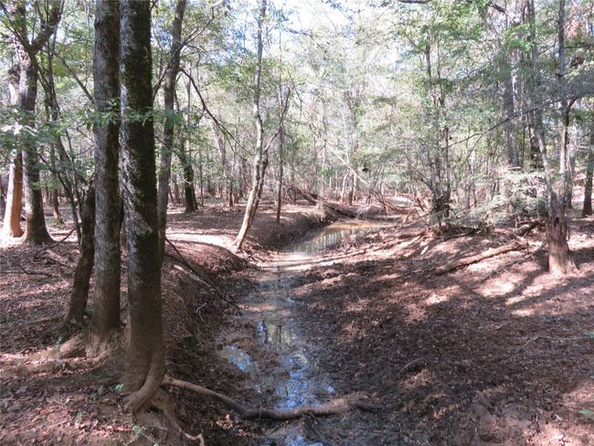 9795 S Us Highway 59, Home with 0 bedrooms, 0 bathrooms and null parking in Nacogdoches TX | Image 16