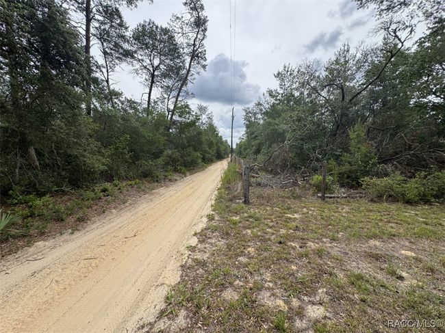 15668 Ne 238 Th St, House other with 2 bedrooms, 2 bathrooms and null parking in Fort Mc Coy FL | Image 22
