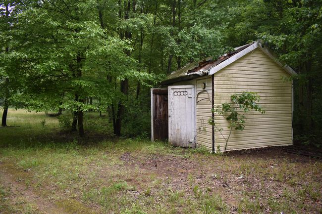 13151 Tuttlehill Rd, Home with 0 bedrooms, 0 bathrooms and null parking in Milan MI | Image 4
