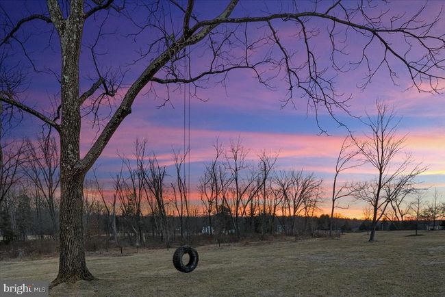 Image | Image 84