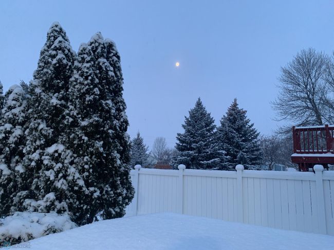 Backyard in Winter | Image 60
