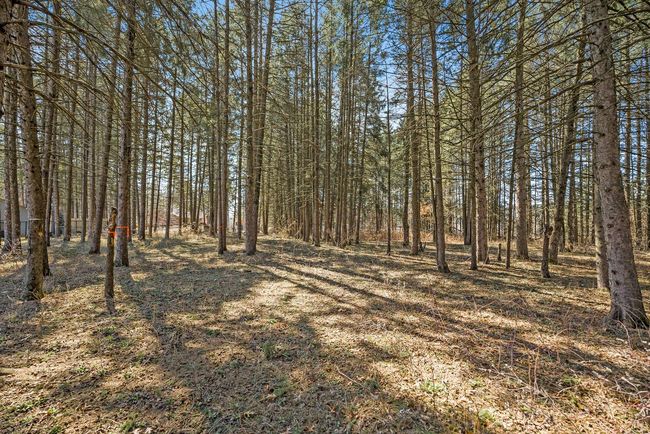 13329 Brenda Blvd, Home with 0 bedrooms, 0 bathrooms and null parking in Becker MN | Image 5