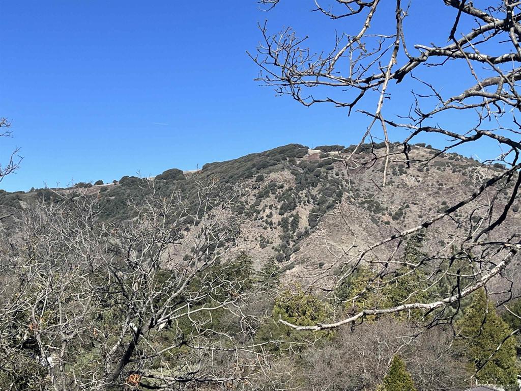 Land in Julian 5