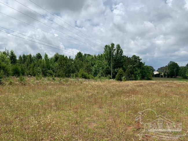 19600 Highway 43, Home with 0 bedrooms, 0 bathrooms and null parking in Grove Hill AL | Image 6