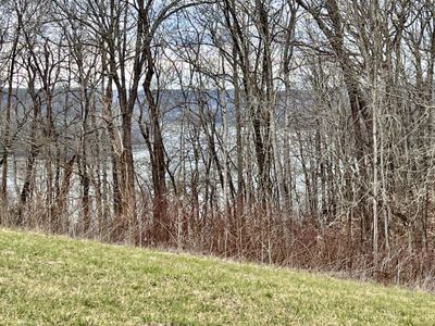 Toward back of lot looking at lake | Image 2