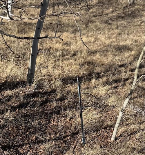 381 Remington Rd, Jefferson, CO, 80456 | Card Image