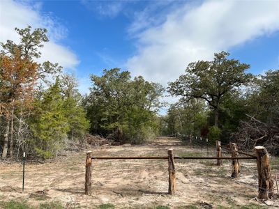 4369 County Road 127, Home with 0 bedrooms, 0 bathrooms and null parking in Ledbetter TX | Image 2