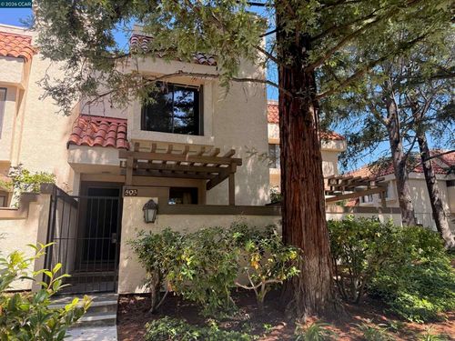 503 Pimlico Ct, Walnut Creek, CA, 94597-3677 | Card Image