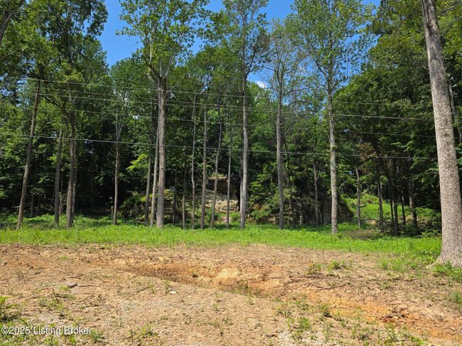 1 Cave Creek Rd, Home with 0 bedrooms, 0 bathrooms and null parking in Falls Of Rough KY | Image 9