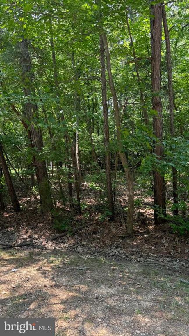 14835 King Charles Dr, Home with 0 bedrooms, 0 bathrooms and null parking in SWAN POINT MD | Image 12