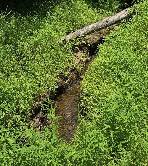 Lot 3469 Fir Ln, Ellijay, GA, 30540 | Card Image