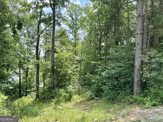 LOTS 90 & 91B Wright Way Dr, Home with 0 bedrooms, 0 bathrooms and null parking in Wedowee AL | Image 8