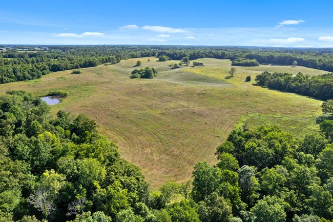 0 Happy Hills Acre Rd, Home with 0 bedrooms, 0 bathrooms and null parking in Woodlawn TN | Image 24