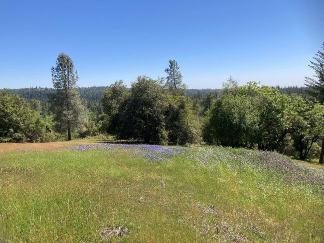 16688 Sonshine Ln, Home with 0 bedrooms, 0 bathrooms and null parking in Sutter Creek CA | Image 46