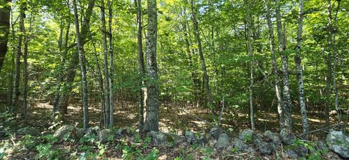 17-406-17 Guinea Ridge Rd, Gilmanton, NH, 03237-4115 | Card Image