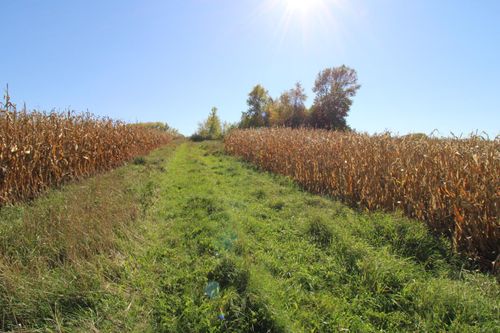 xxxx Eagle Lake Road E, Willmar, MN, 56201 | Card Image