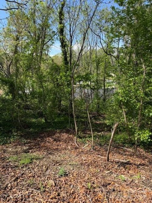 99999 Reese St, Woodfin, NC, 28804 | Card Image