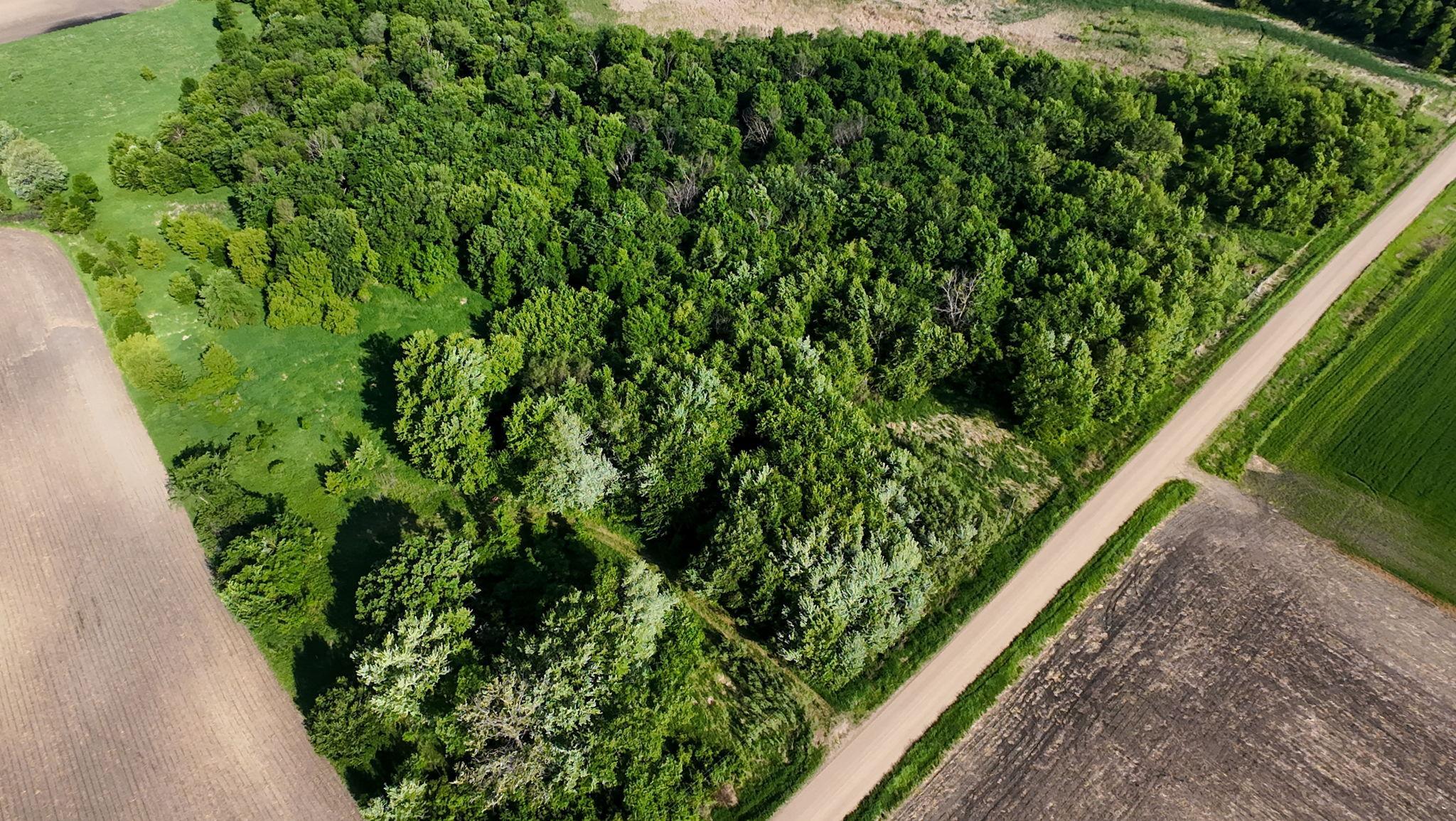 Land in Morristown 2