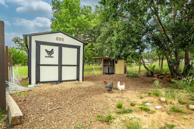 all fenced and enclosed chicken coop and run | Image 27