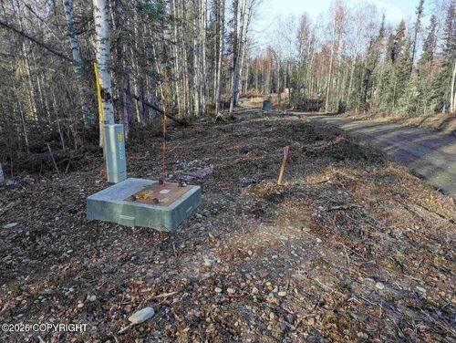 51030 S Caswell Creek Dr, Willow, AK, 99688 | Card Image