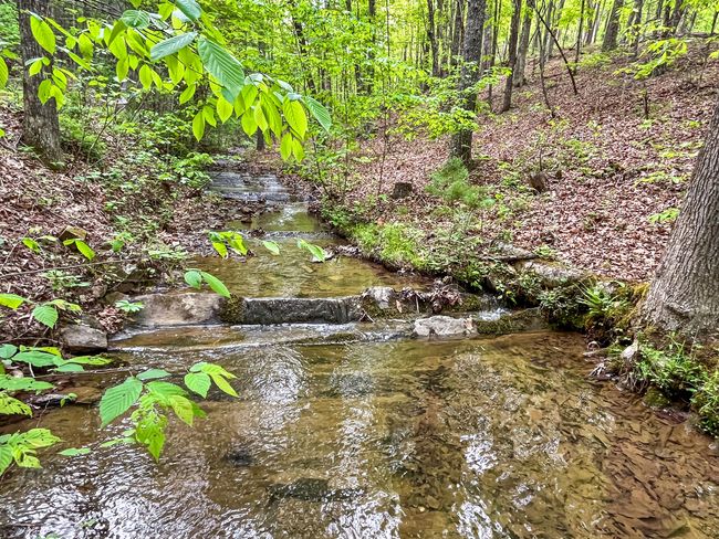 388 Hemlock Ridge Lane, Catawba | Image 87