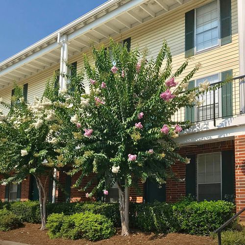 160-900 Mountain Creek Rd, Chattanooga, TN, 37405-4502 | Card Image